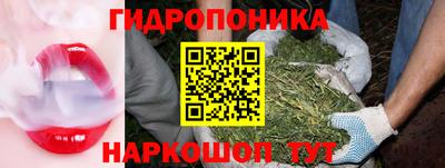 скорость Будённовск
