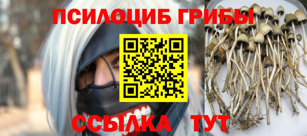 Галлюциногенные грибы MAGIC MUSHROOMS Курганинск