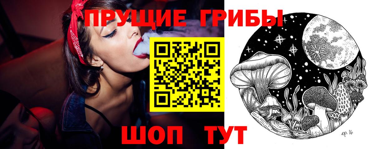 Псилоцибиновые грибы мицелий  Вход с VPN  цена   Курганинск 
