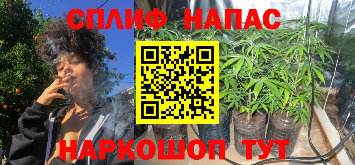 Бошки Шишки Bruce Banner Курганинск